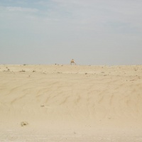 Dubai desert 2011